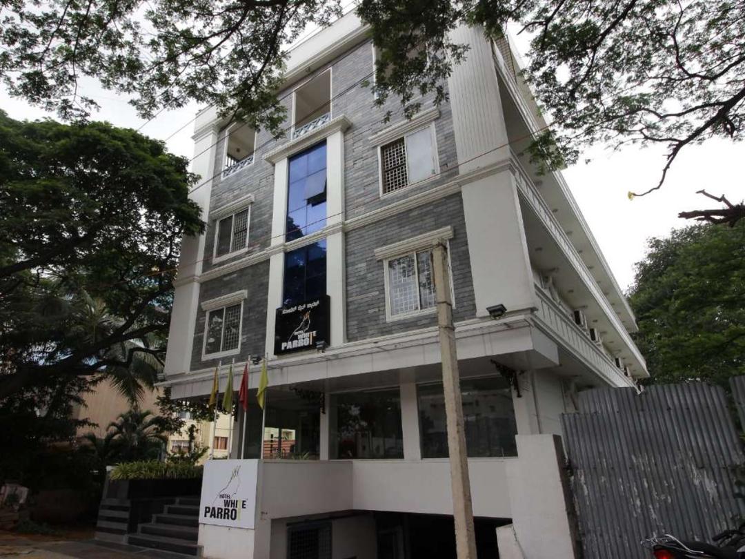 Hotel White Parrot in Mysore