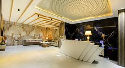 Hotel Vertu By OPO in Delhi