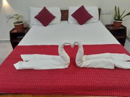 Nature Villa in Kochi