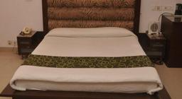 Hotel Sunrise Villa in Delhi