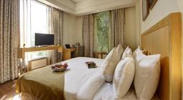 Saltstayz Select - Galleria Market and Golf Course Road in Gurgaon