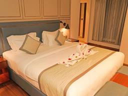 Pride Hotel Udaipur in Udaipur