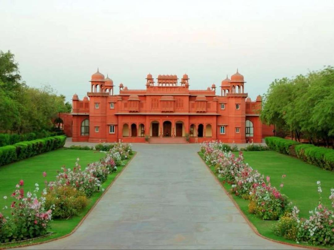 Gaj Kesri By 7 Apple in Bikaner