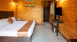 Stone Wood Resort in Goa