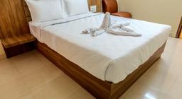 Hotel MS Chola in Chennai