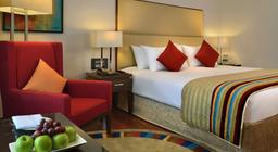 Park Plaza Chandigarh Zirakpur in Zirakpur