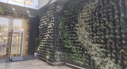 Delhieez in Delhi