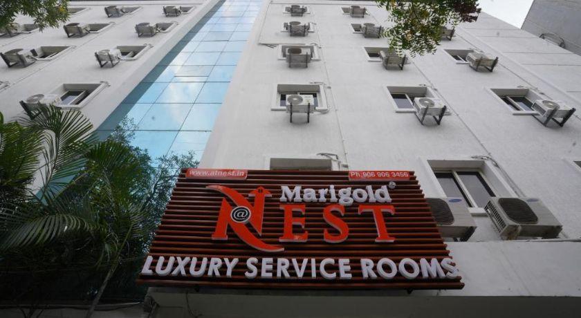 Marigold Atnest in Hyderabad