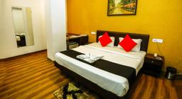 Airport Hotel Tashree in Delhi