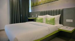 Hotel Le Roi Express Karol Bagh in Delhi