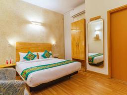 Treebo Ace Luxe in Delhi