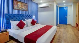 Hotel Aerostar Grand in Delhi