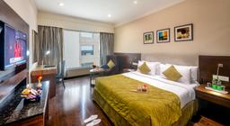 The Golden Palms Hotel and Spa in Delhi