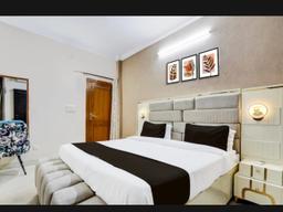 Hotel The Arrow in Delhi